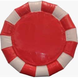Circular raft 68"