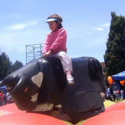 copy of Mechanical bull