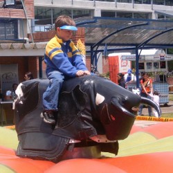 copy of Mechanical bull