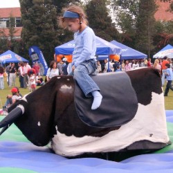 copy of Mechanical bull