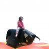 copy of Mechanical bull